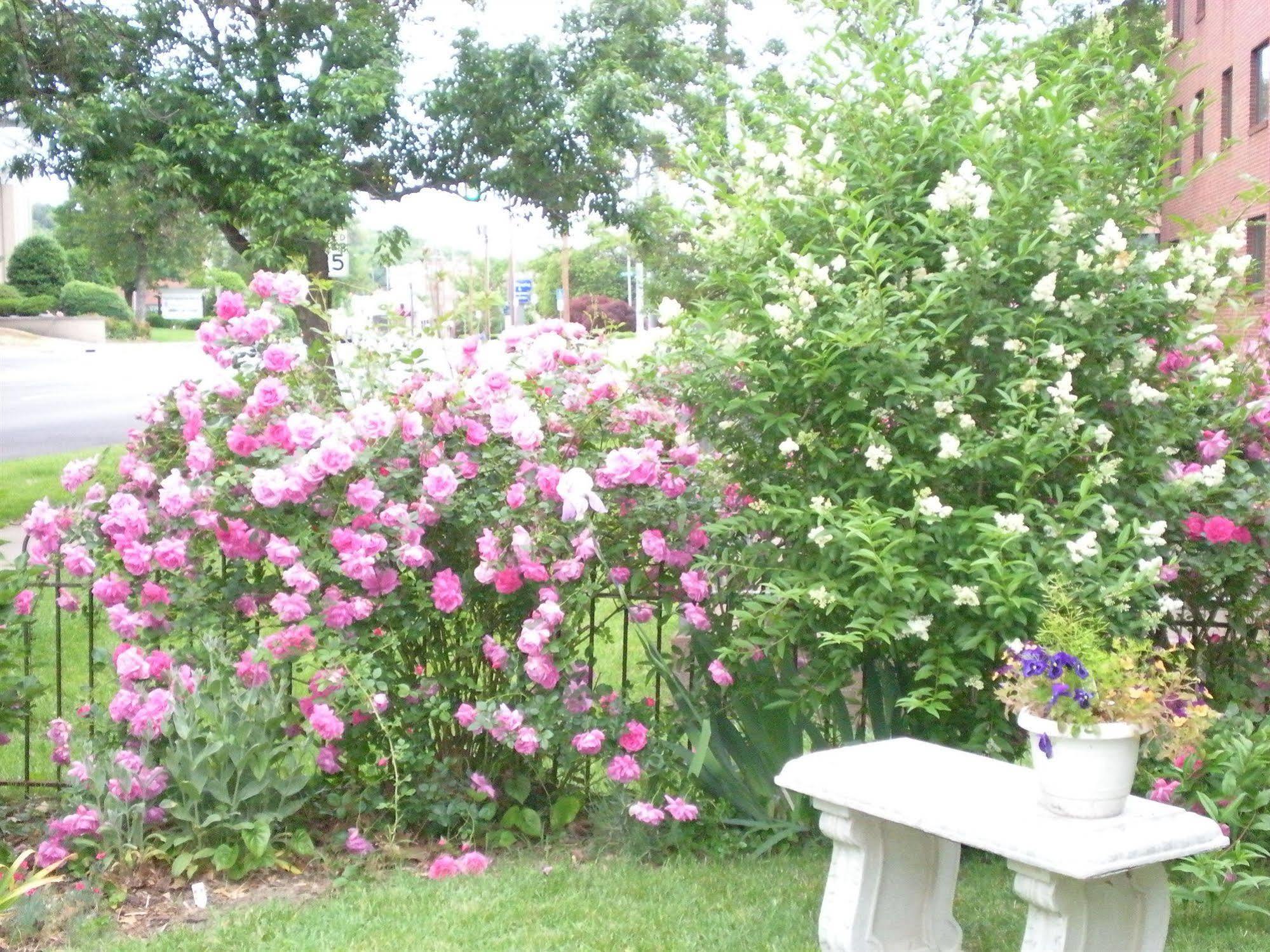 Belle Hearth Bed And Breakfast Waynesboro Eksteriør bilde