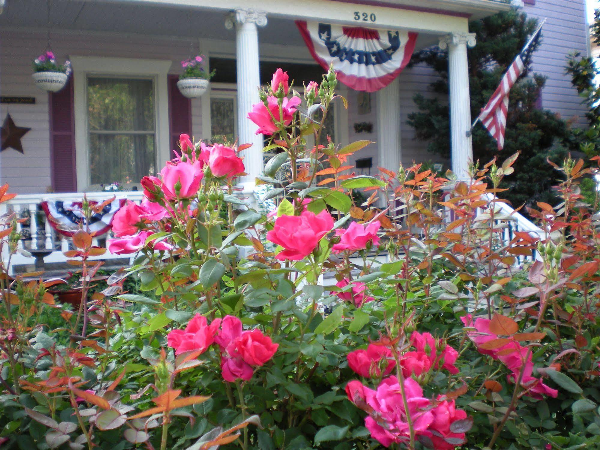 Belle Hearth Bed And Breakfast Waynesboro Eksteriør bilde